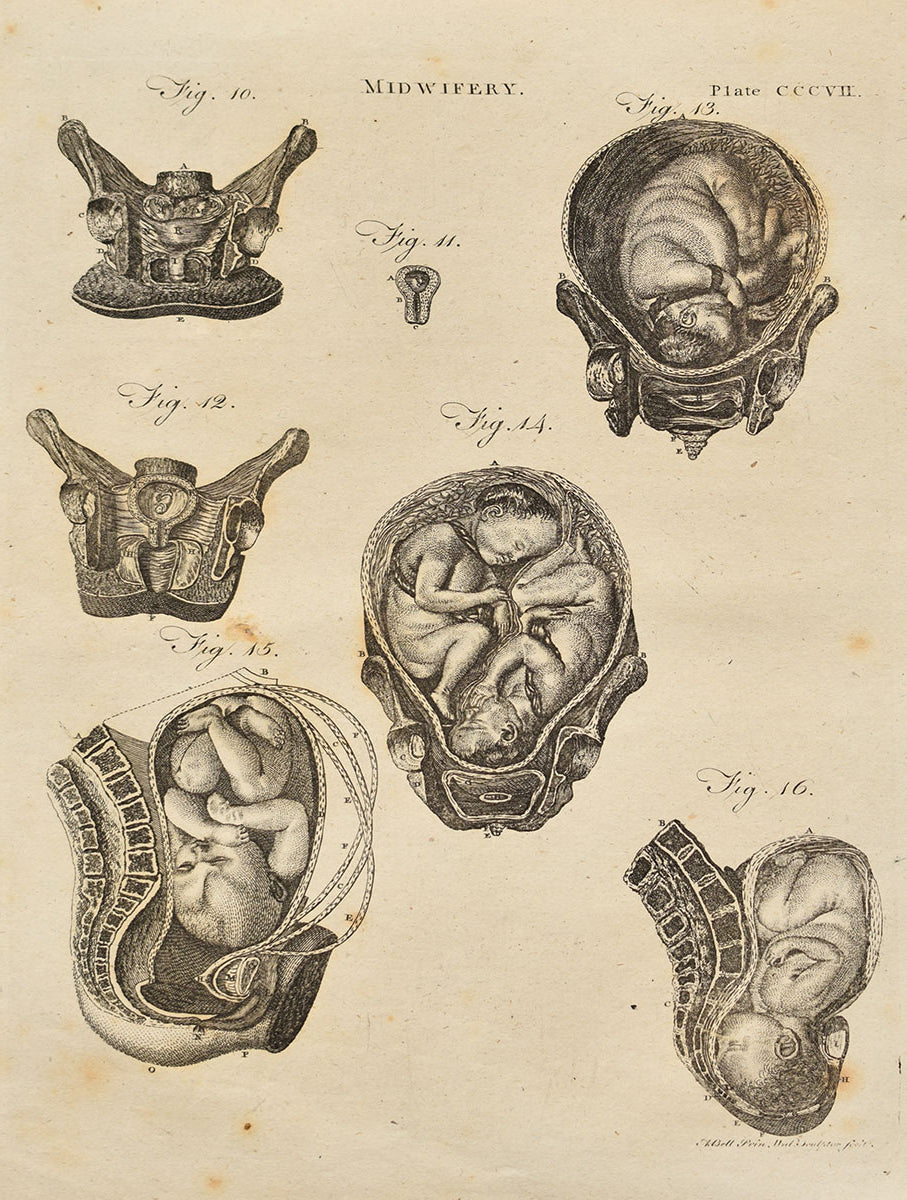 Obstetrics & Gynecology