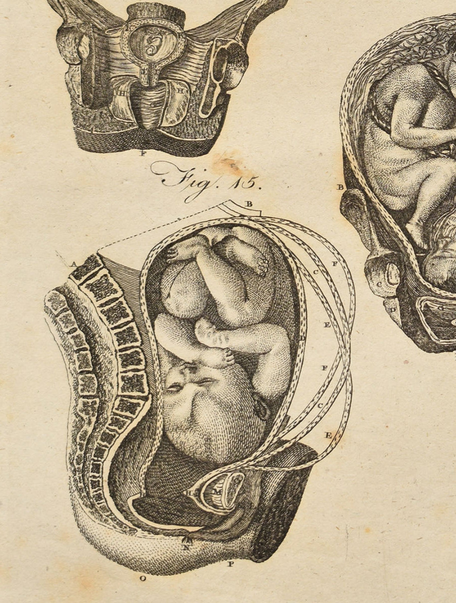 Obstetrics & Gynecology