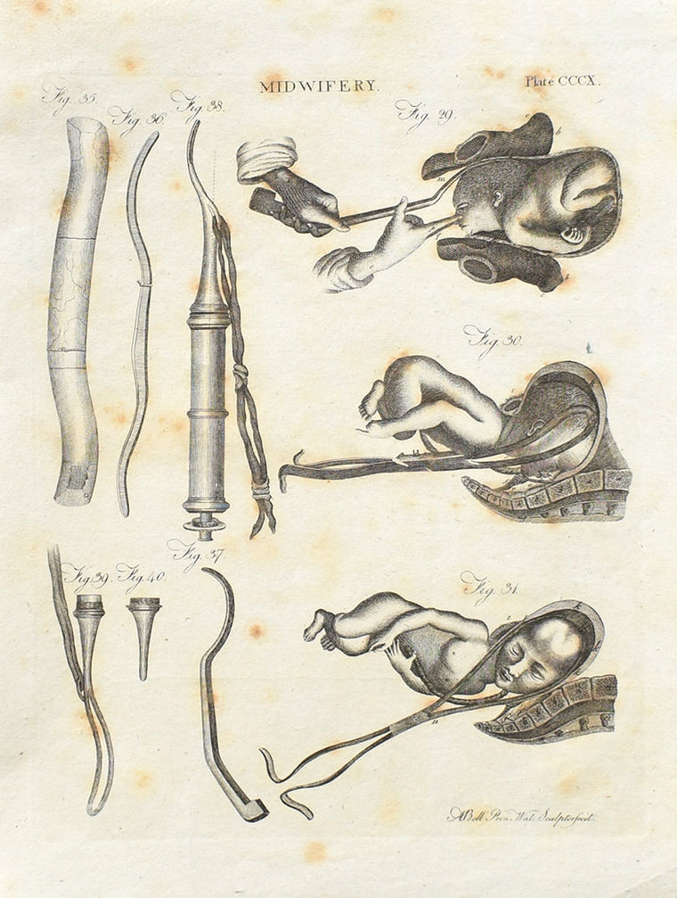 Obstetrics & Gynecology