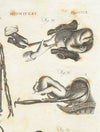 Obstetrics & Gynecology