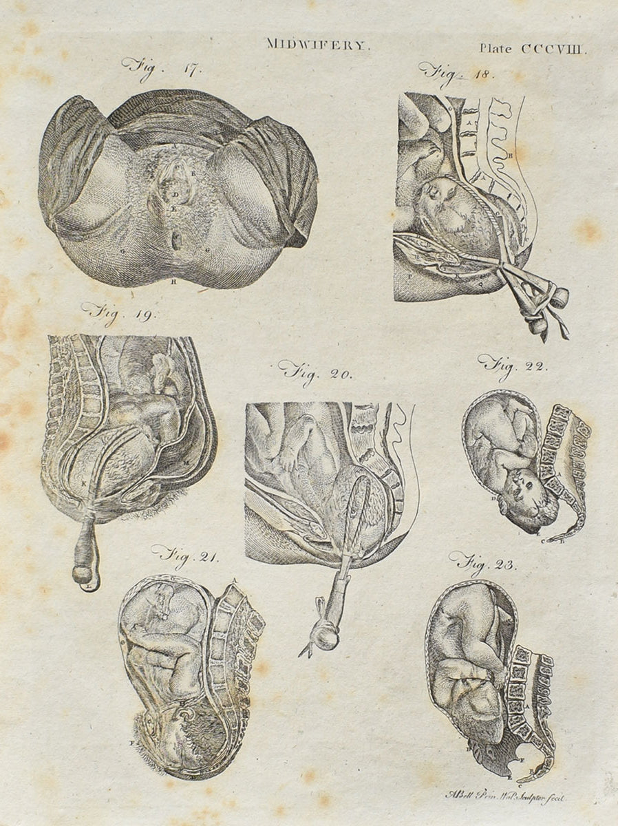 Obstetrics & Gynecology