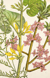 Decorative Flower